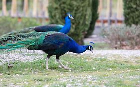 Ca'Novae - Tuscany Farmhouse